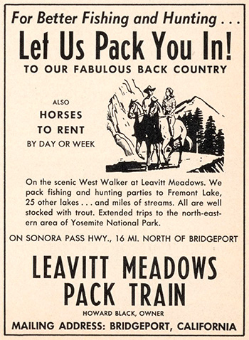 leavitt meadows pack train